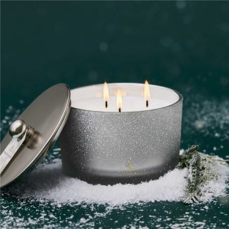 Frasier Fir® Flocked Gifting Duo