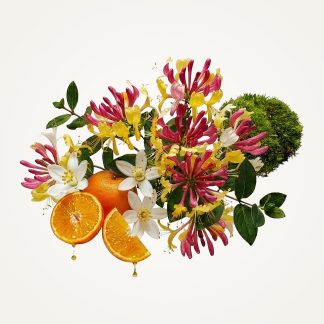 Honeysuckle Eau de Toilette
