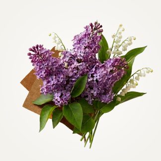 Lilac Eau de Toilette