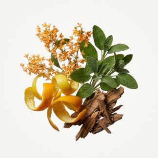 OAIRE Eau de Parfum