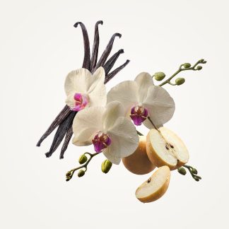 Orchid Perfume