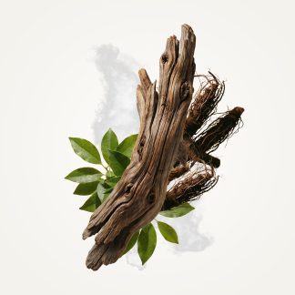 Sandalwood Eau de Toilette