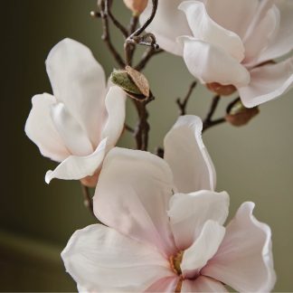Magnolia Willow Petite Reed Diffuser