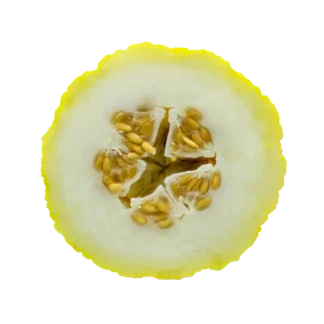 Paloma Melon Signature Candle