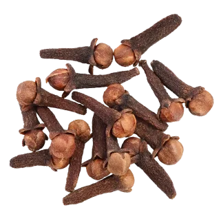 Spiced Pomander Pura Smart Device Refill