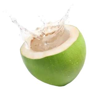 Jungle Bloom Signature Candle