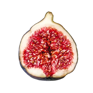 Paradiso Fig Signature Candle