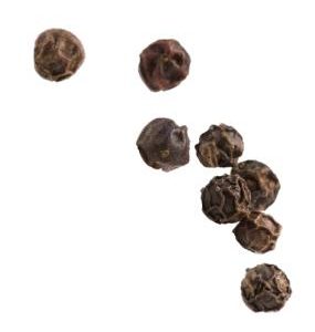 Timur Pepper Signature Candle