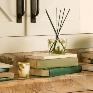Frasier Fir? Pine Needle Reed Diffuser