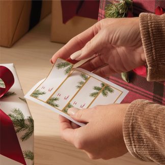 Frasier Fir? Giftwrap Bundle