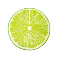 Andean Myrtle Signature Candle
