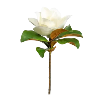 Star Magnolia Classic Candle