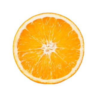 Cilantro Orange Signature Candle
