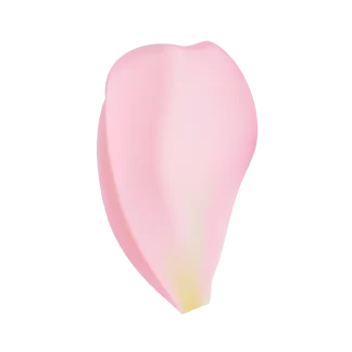 Duchess Peony Signature Candle