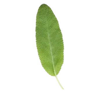 Retreat Pura Smart Device Refill