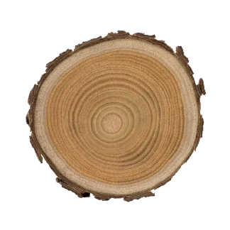 Feu De Bois 3-Wick Candle