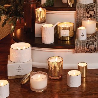 Frasier Fir® Gilded 13 oz Poured Candle